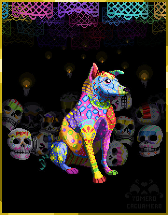 Xolo